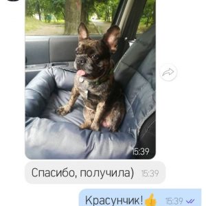 Відгук: Пані Титяна Чернігів Автокрісло КАРТЕЛЬ