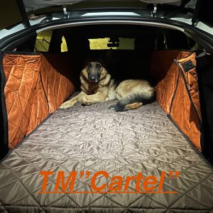 Відгук: Автогамак трансформер, багажник + салон Tesla